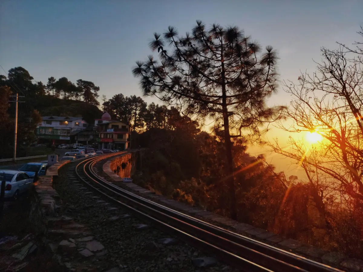 Railway tracks curving through pine forest on the Kalka-Shimla toy train line at sunset
